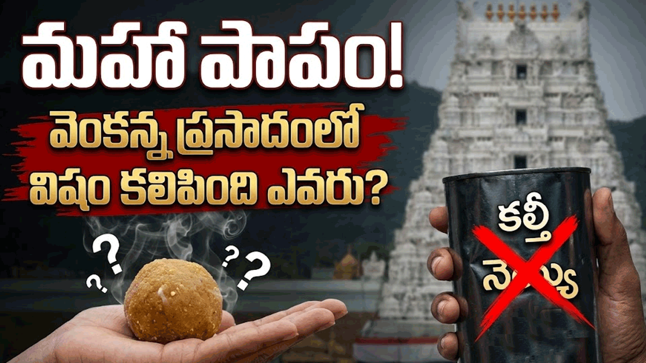 ధర్మక్షేత్రంలో ‘అధర్మ’ వ్యాపారం: లడ్డూ కల్తీ వెనుక దాగిన ‘పెద్దప్ప’ ఎవరు?